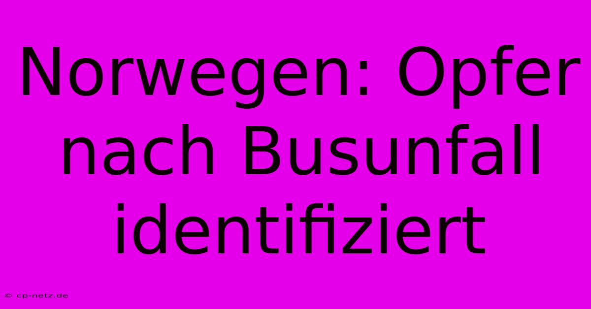 Norwegen: Opfer Nach Busunfall Identifiziert