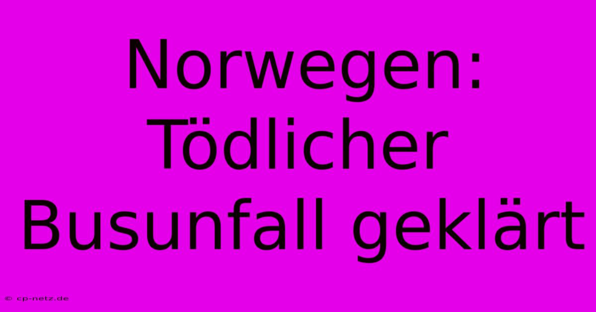 Norwegen: Tödlicher Busunfall Geklärt