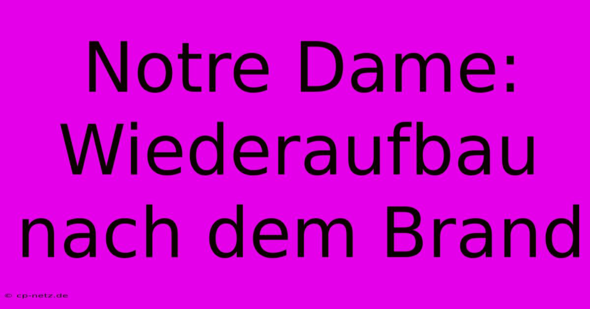 Notre Dame: Wiederaufbau Nach Dem Brand