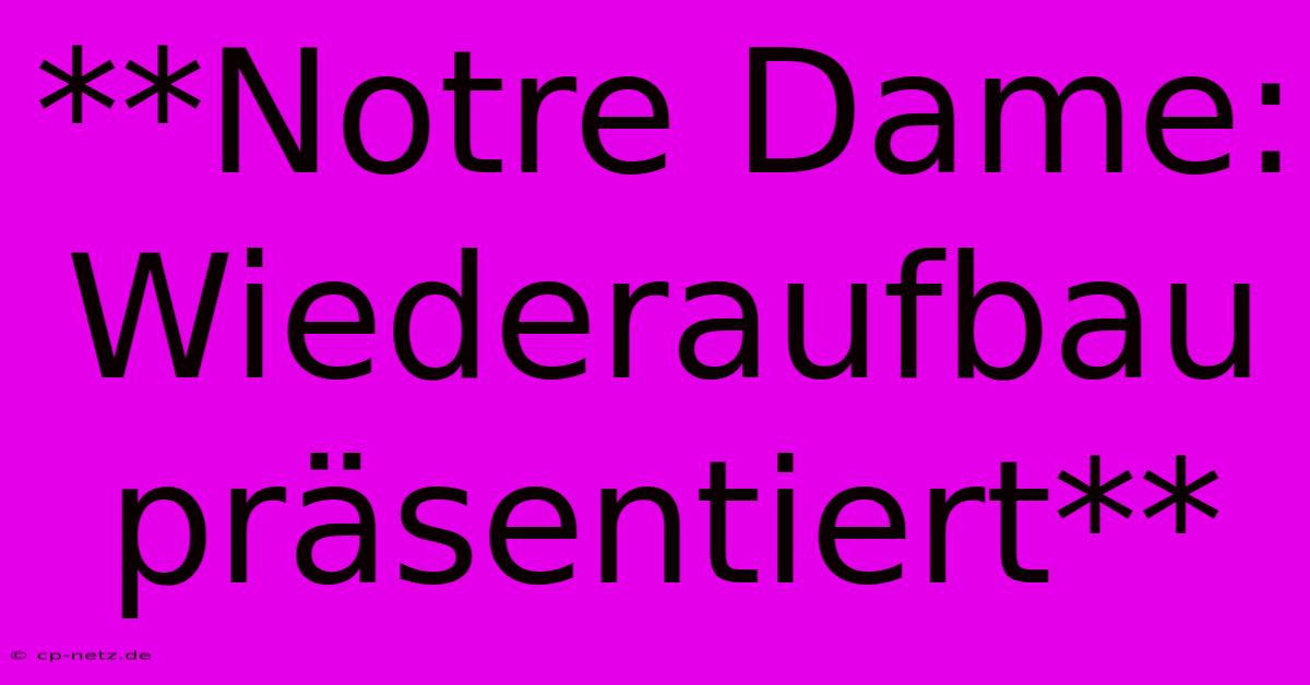 **Notre Dame: Wiederaufbau Präsentiert**