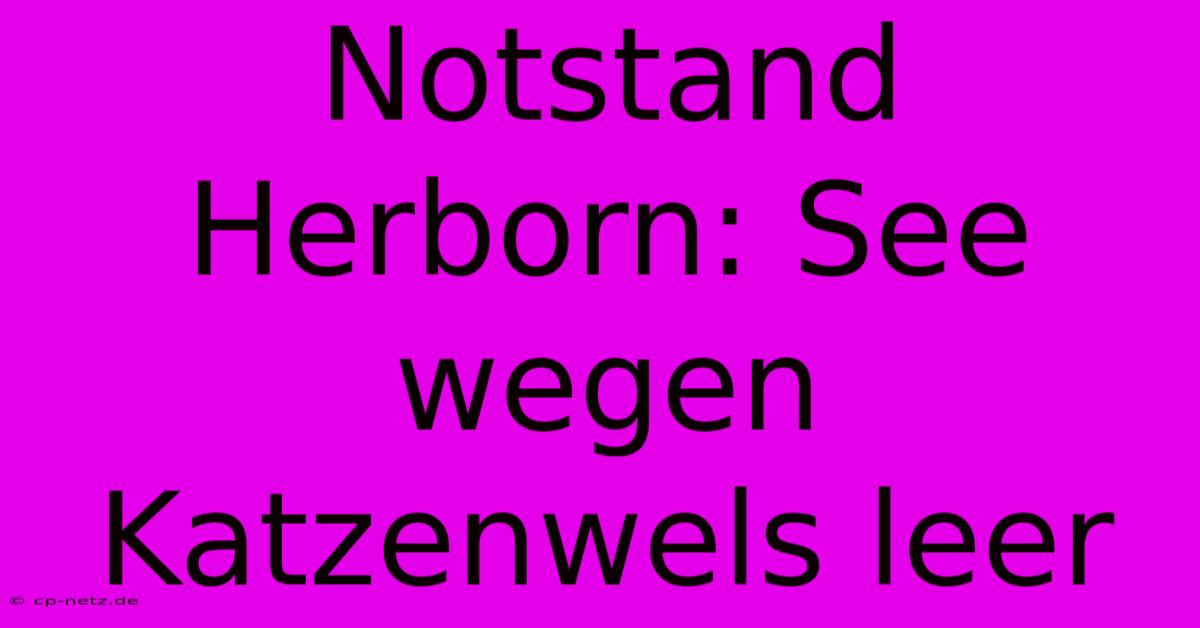 Notstand Herborn: See Wegen Katzenwels Leer