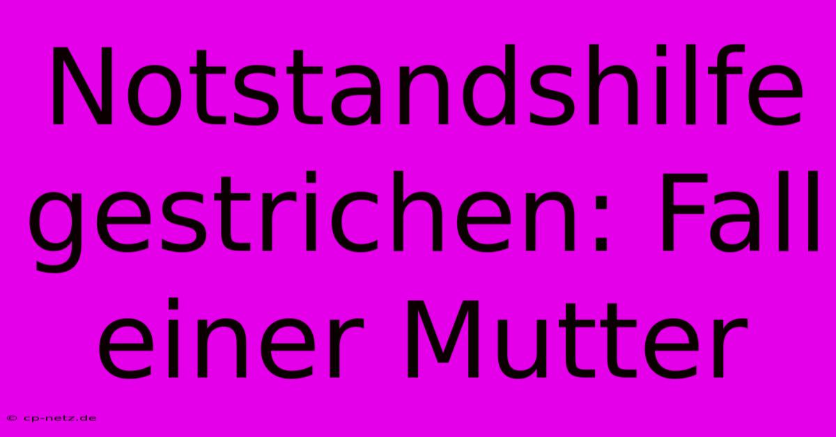 Notstandshilfe Gestrichen: Fall Einer Mutter