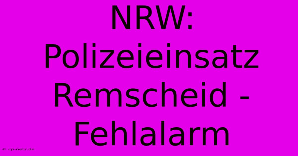 NRW: Polizeieinsatz Remscheid - Fehlalarm