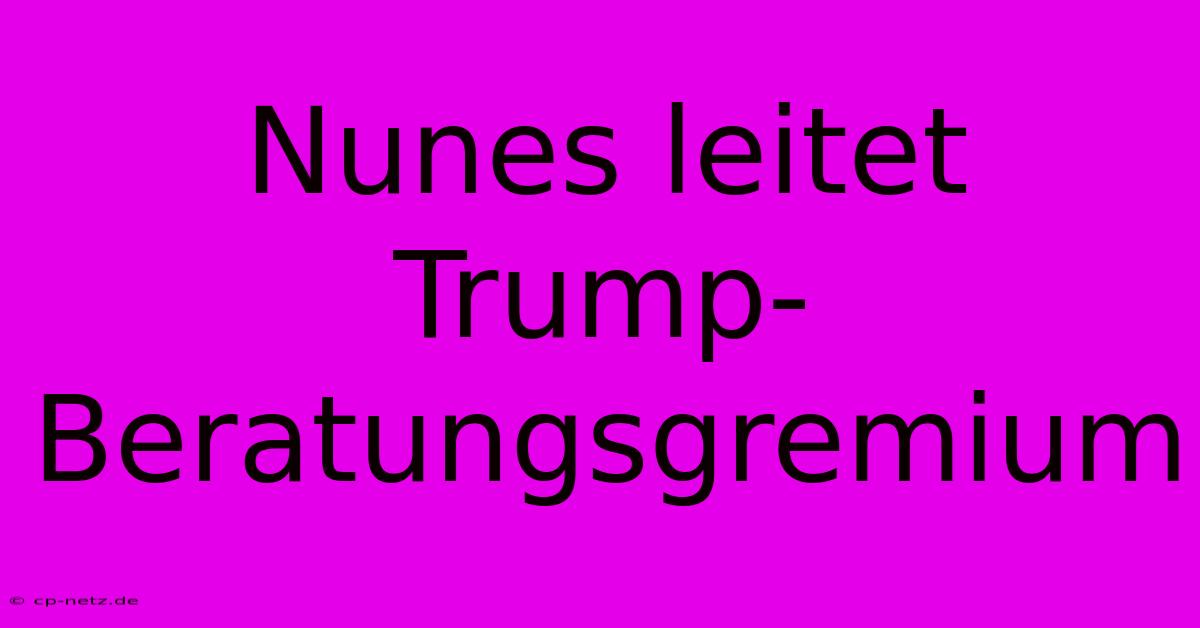 Nunes Leitet Trump-Beratungsgremium