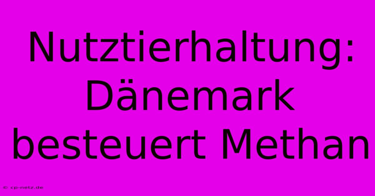 Nutztierhaltung: Dänemark Besteuert Methan