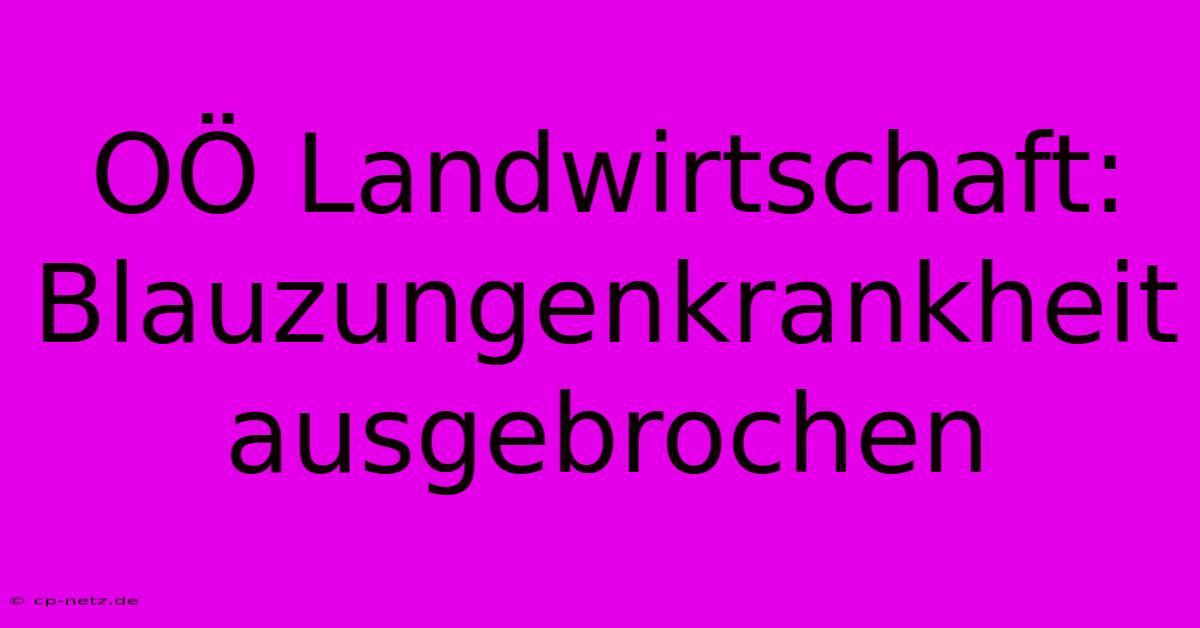 OÖ Landwirtschaft: Blauzungenkrankheit Ausgebrochen