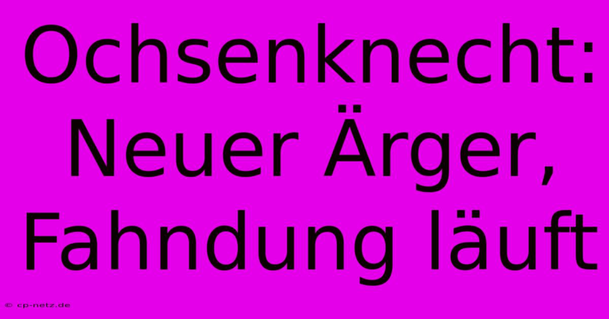 Ochsenknecht: Neuer Ärger, Fahndung Läuft