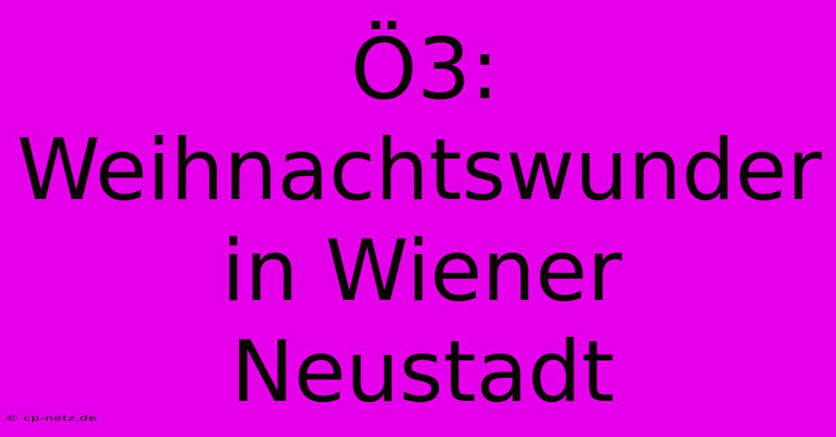 Ö3: Weihnachtswunder In Wiener Neustadt