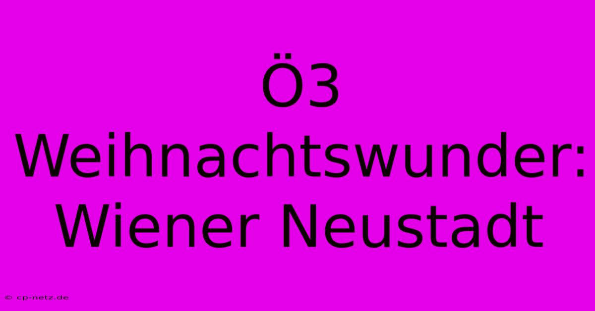 Ö3 Weihnachtswunder: Wiener Neustadt