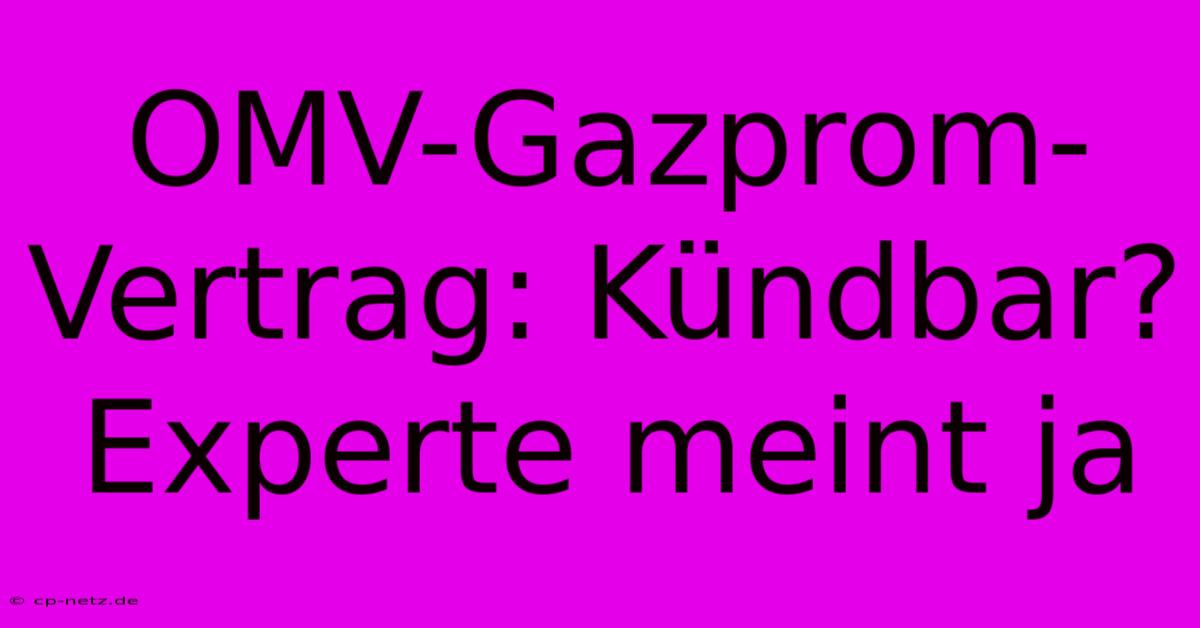 OMV-Gazprom-Vertrag: Kündbar? Experte Meint Ja