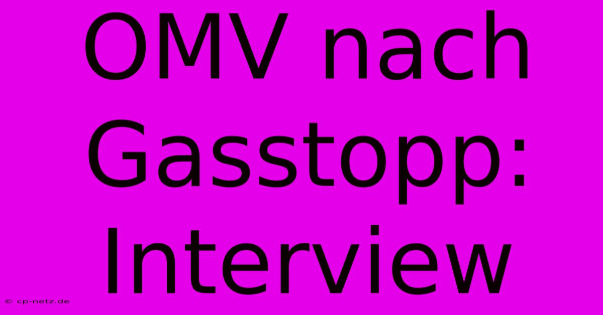 OMV Nach Gasstopp: Interview