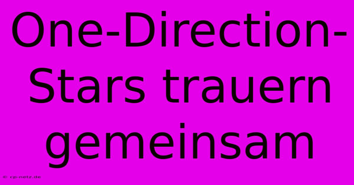 One-Direction-Stars Trauern Gemeinsam