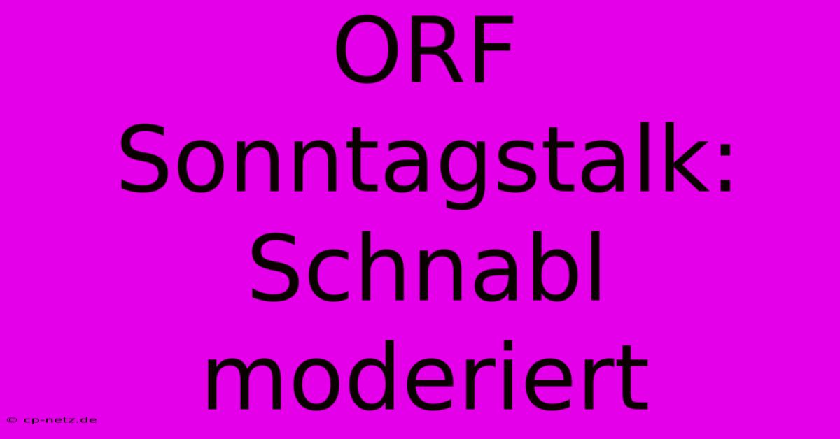 ORF Sonntagstalk: Schnabl Moderiert