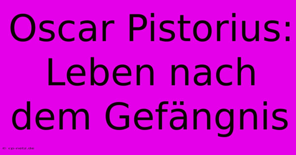 Oscar Pistorius: Leben Nach Dem Gefängnis