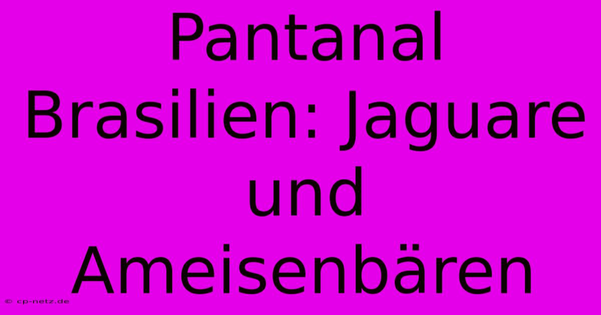 Pantanal Brasilien: Jaguare Und Ameisenbären