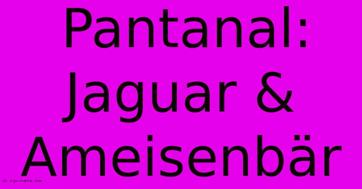 Pantanal: Jaguar & Ameisenbär