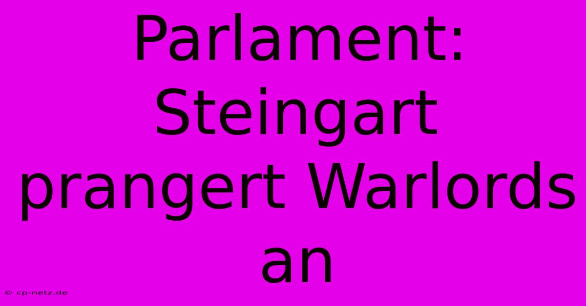 Parlament: Steingart Prangert Warlords An