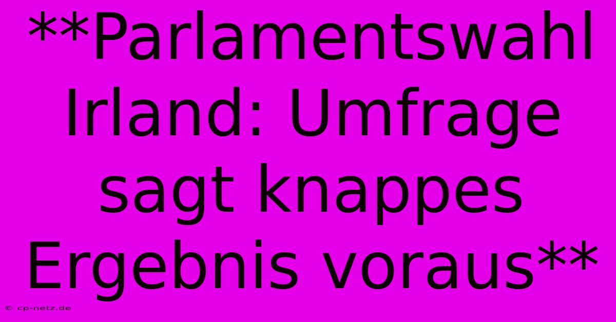 **Parlamentswahl Irland: Umfrage Sagt Knappes Ergebnis Voraus**