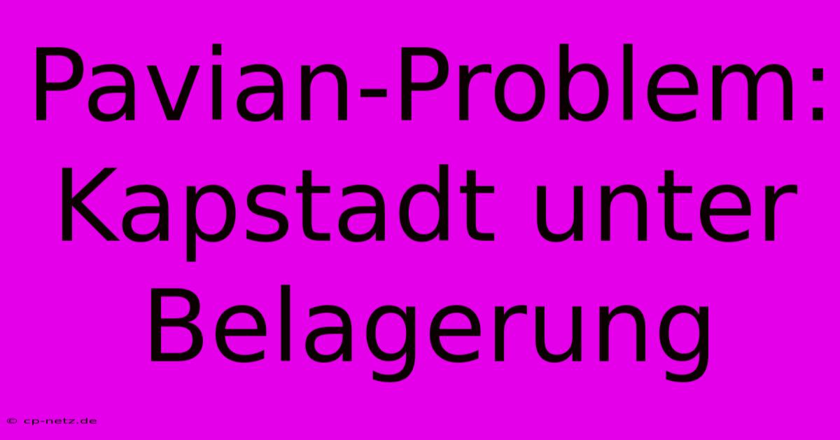 Pavian-Problem: Kapstadt Unter Belagerung