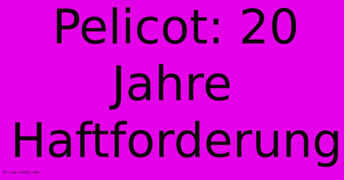 Pelicot: 20 Jahre Haftforderung