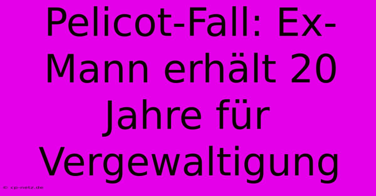 Pelicot-Fall: Ex-Mann Erhält 20 Jahre Für Vergewaltigung