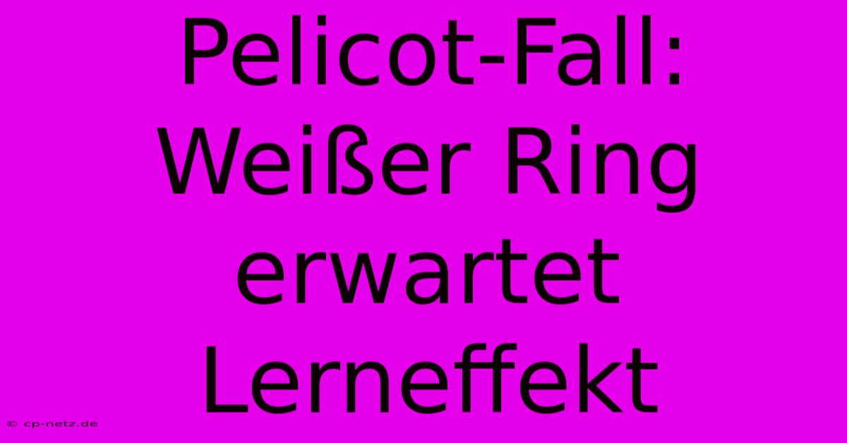 Pelicot-Fall: Weißer Ring Erwartet Lerneffekt