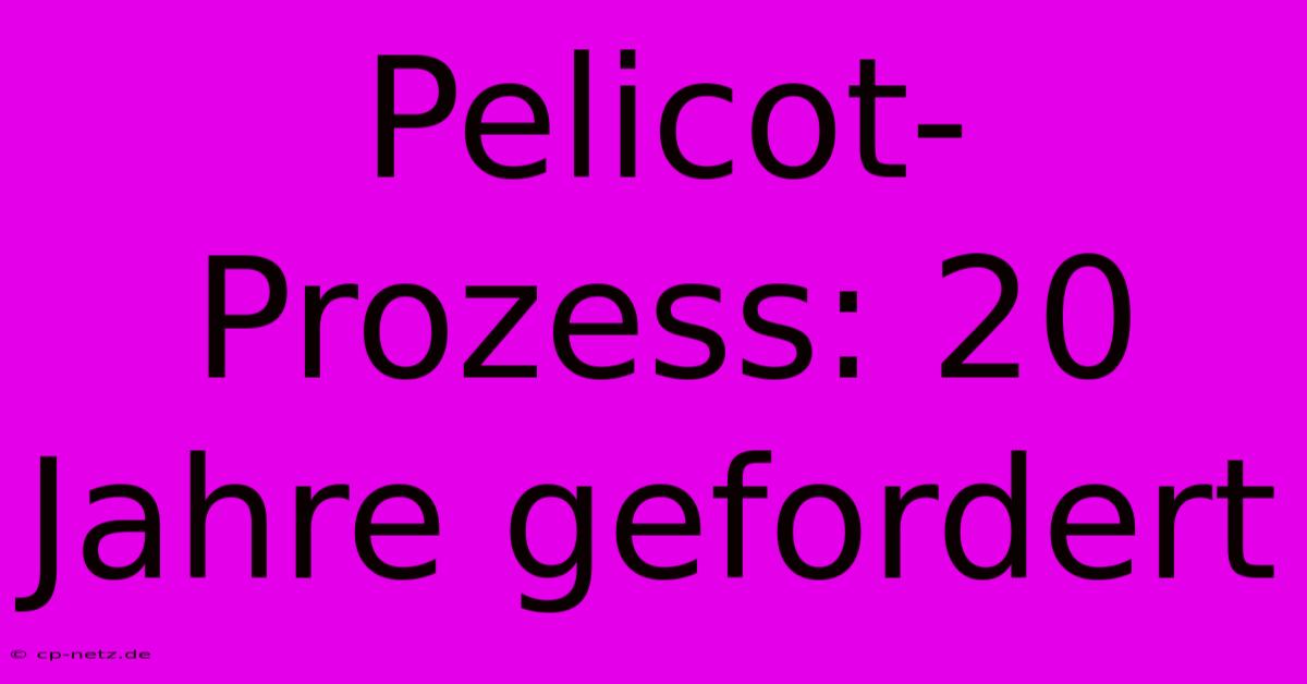 Pelicot-Prozess: 20 Jahre Gefordert