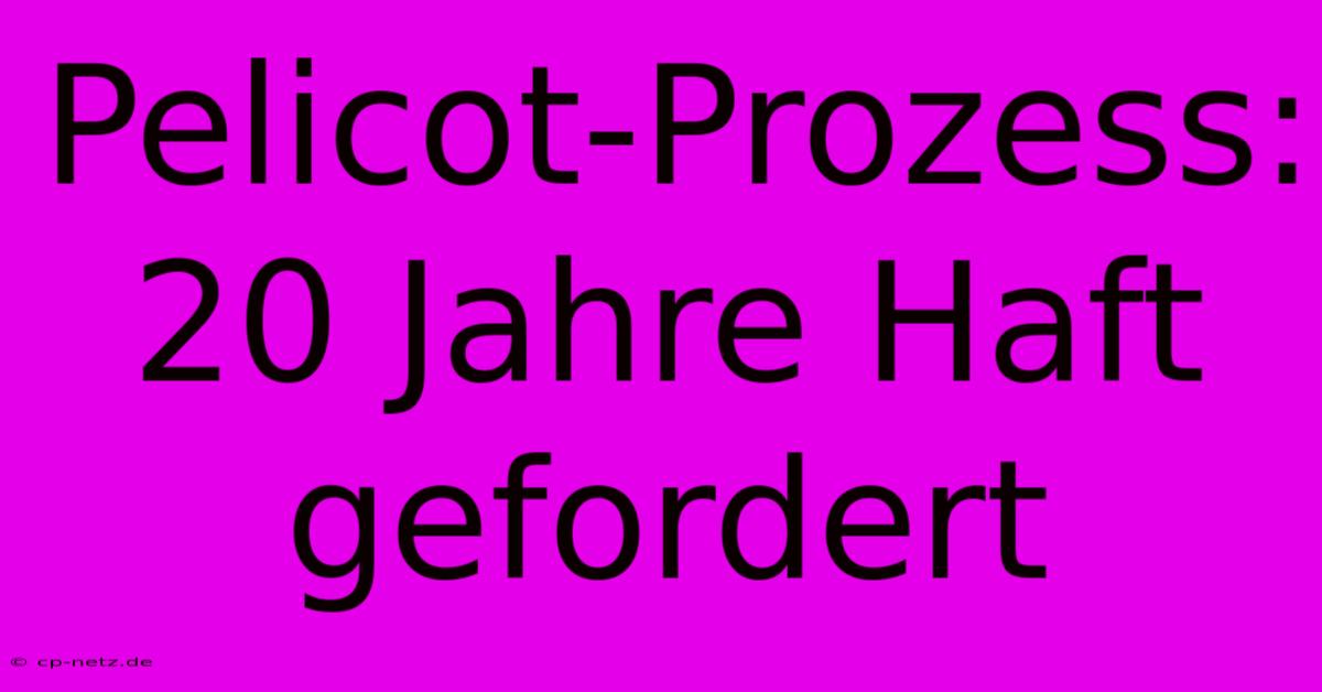 Pelicot-Prozess: 20 Jahre Haft Gefordert