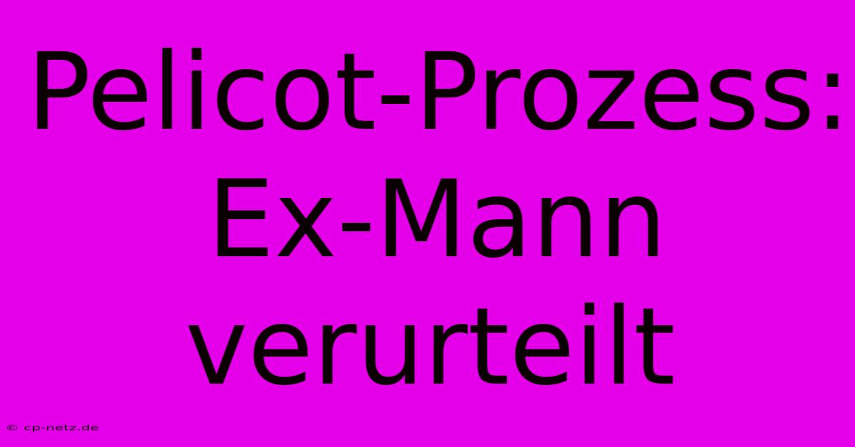 Pelicot-Prozess: Ex-Mann Verurteilt