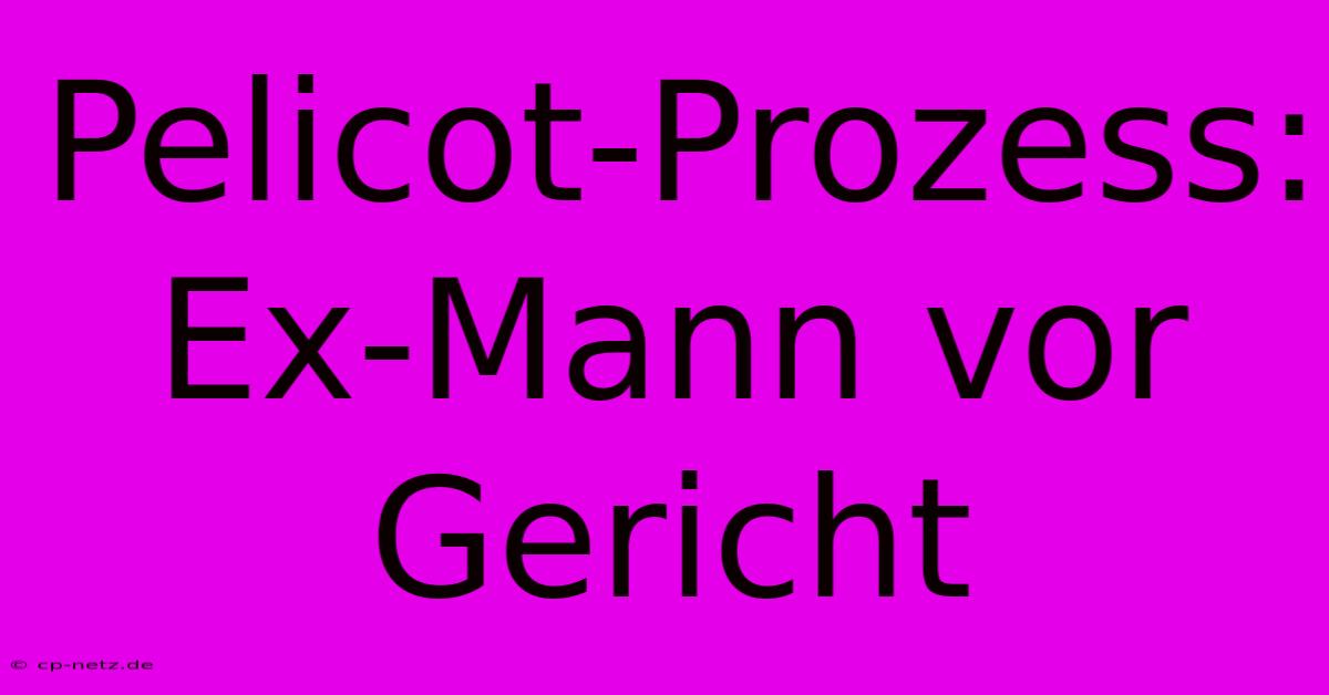 Pelicot-Prozess: Ex-Mann Vor Gericht