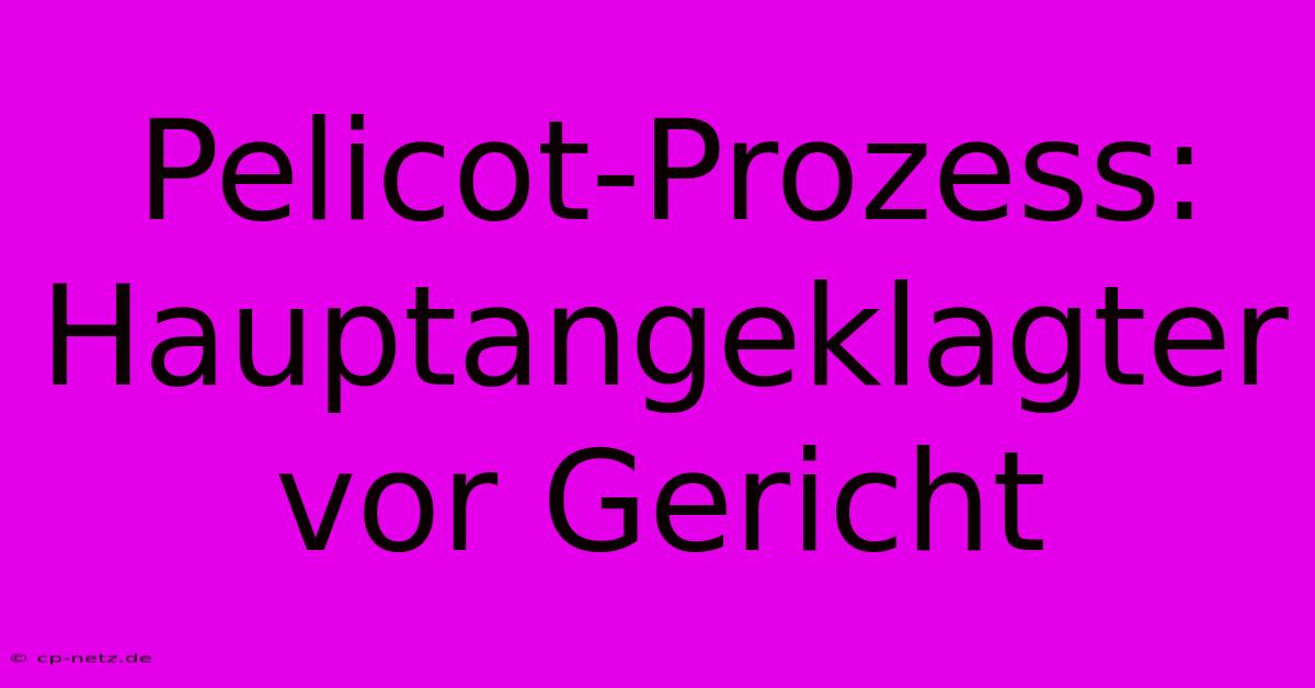 Pelicot-Prozess: Hauptangeklagter Vor Gericht