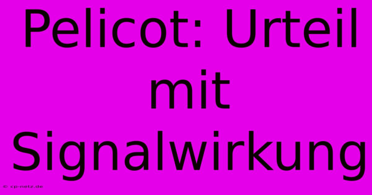 Pelicot: Urteil Mit Signalwirkung