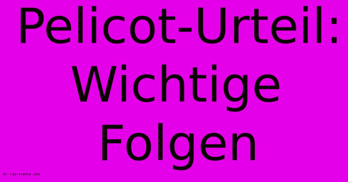 Pelicot-Urteil: Wichtige Folgen