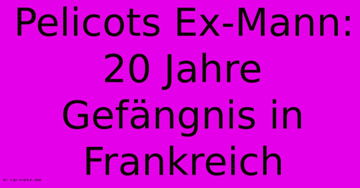 Pelicots Ex-Mann: 20 Jahre Gefängnis In Frankreich