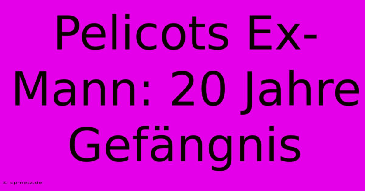 Pelicots Ex-Mann: 20 Jahre Gefängnis