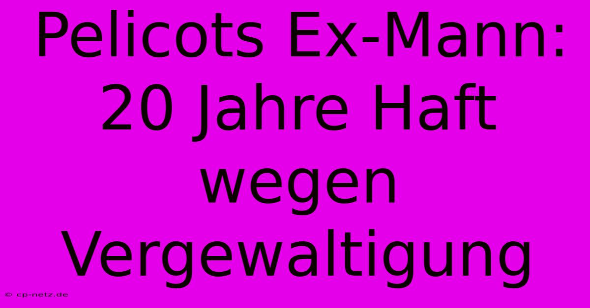 Pelicots Ex-Mann: 20 Jahre Haft Wegen Vergewaltigung