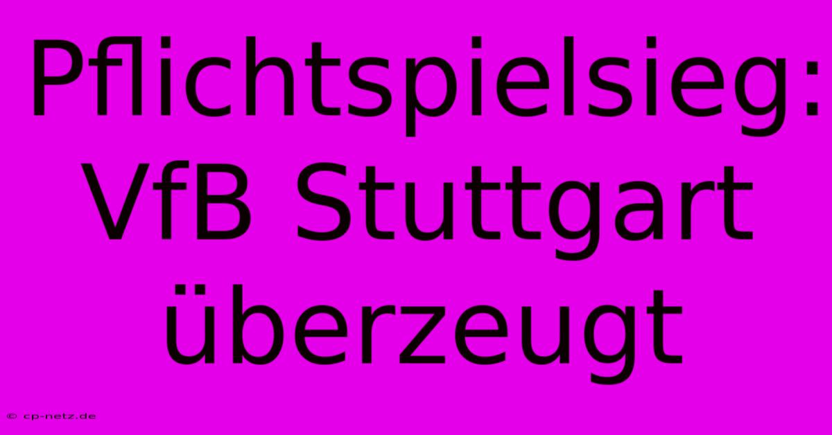 Pflichtspielsieg: VfB Stuttgart Überzeugt