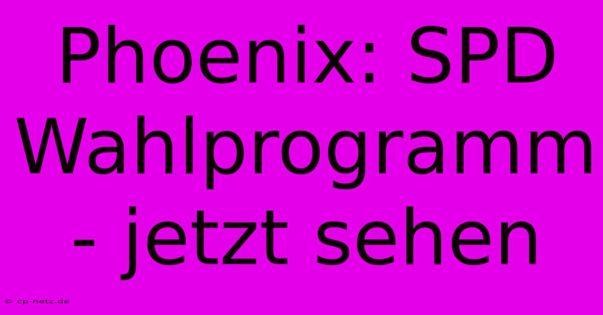 Phoenix: SPD Wahlprogramm - Jetzt Sehen