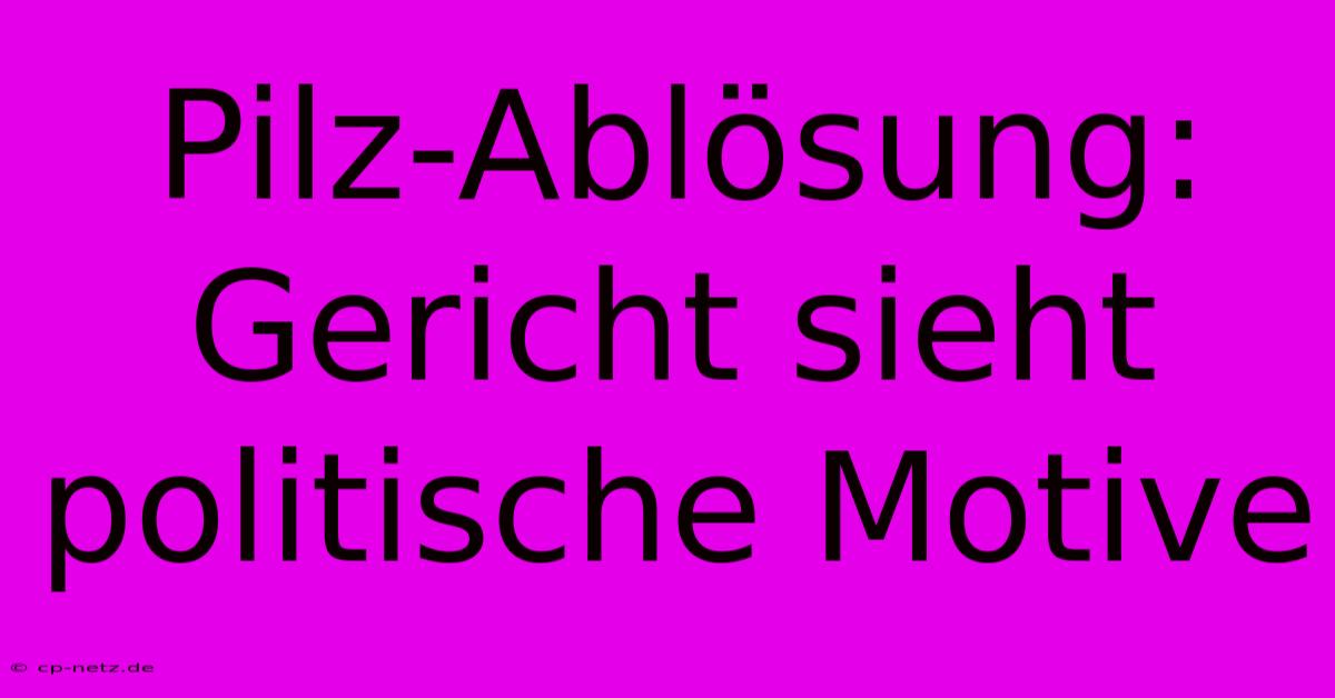 Pilz-Ablösung: Gericht Sieht Politische Motive