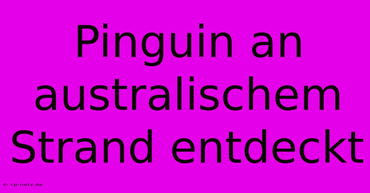 Pinguin An Australischem Strand Entdeckt