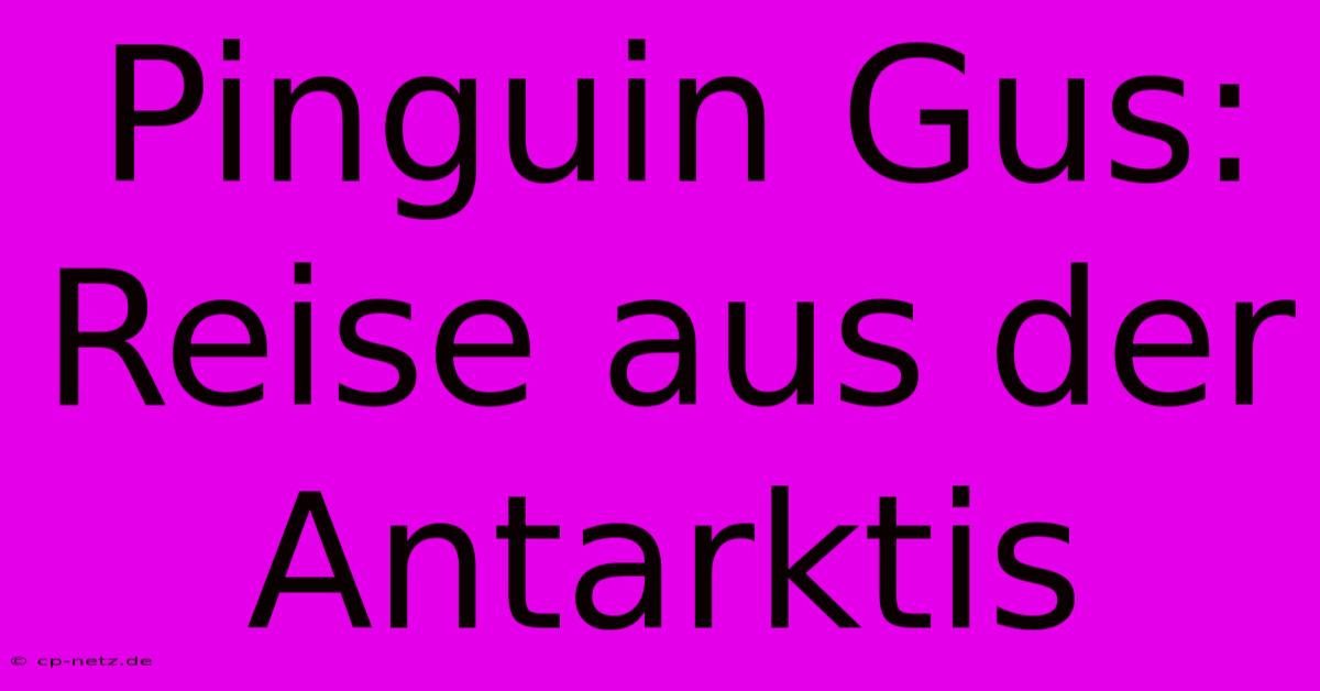 Pinguin Gus: Reise Aus Der Antarktis