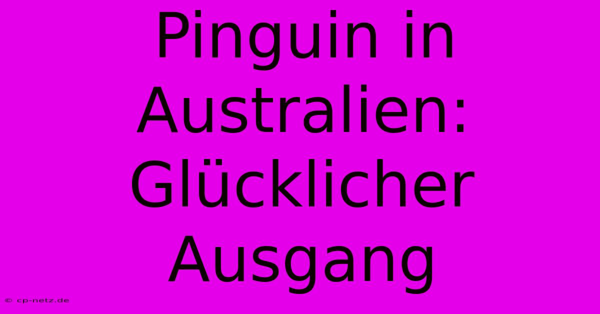 Pinguin In Australien: Glücklicher Ausgang