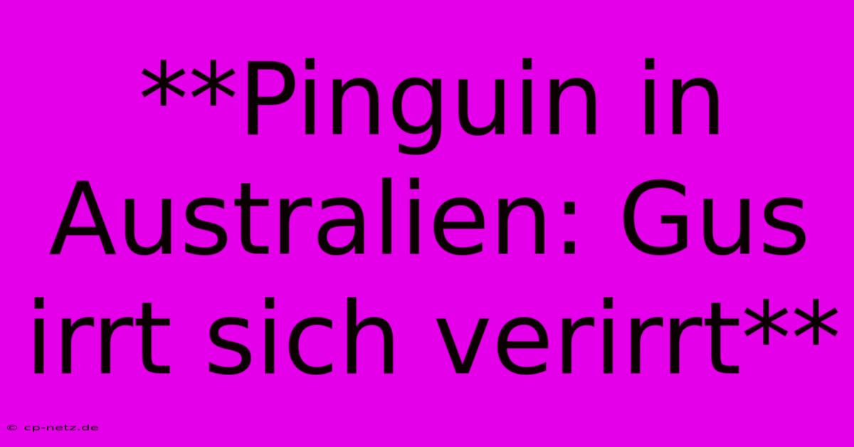 **Pinguin In Australien: Gus Irrt Sich Verirrt**