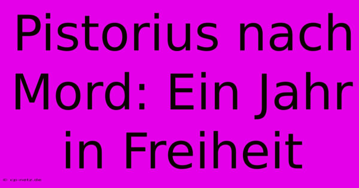 Pistorius Nach Mord: Ein Jahr In Freiheit