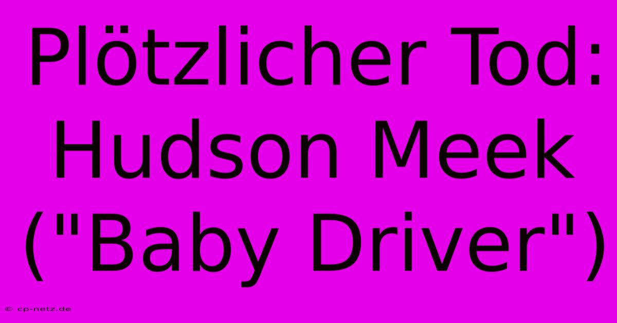 Plötzlicher Tod: Hudson Meek (