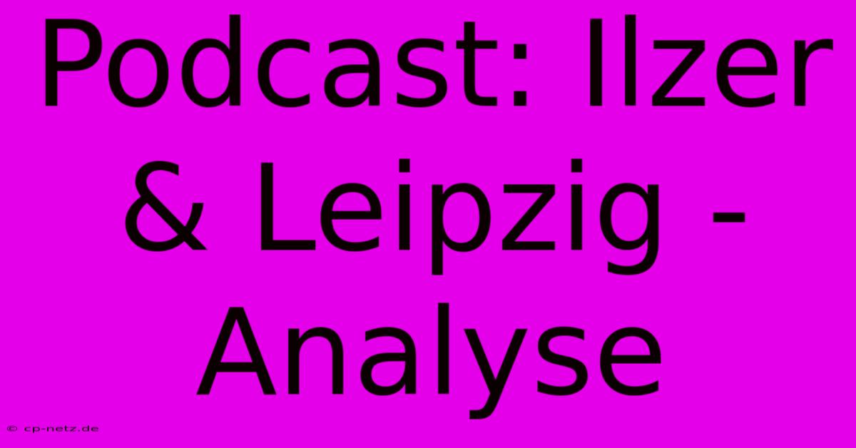 Podcast: Ilzer & Leipzig - Analyse