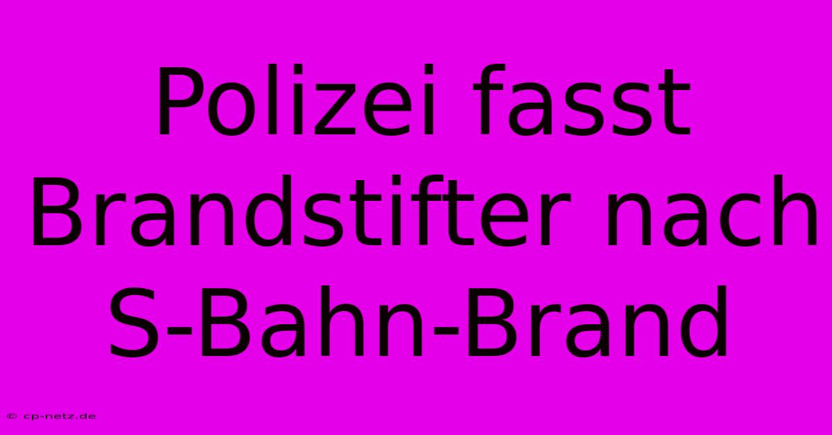 Polizei Fasst Brandstifter Nach S-Bahn-Brand