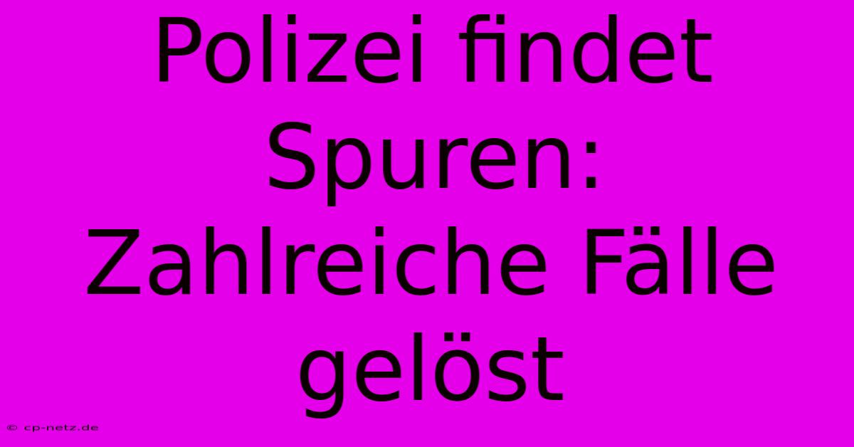 Polizei Findet Spuren: Zahlreiche Fälle Gelöst