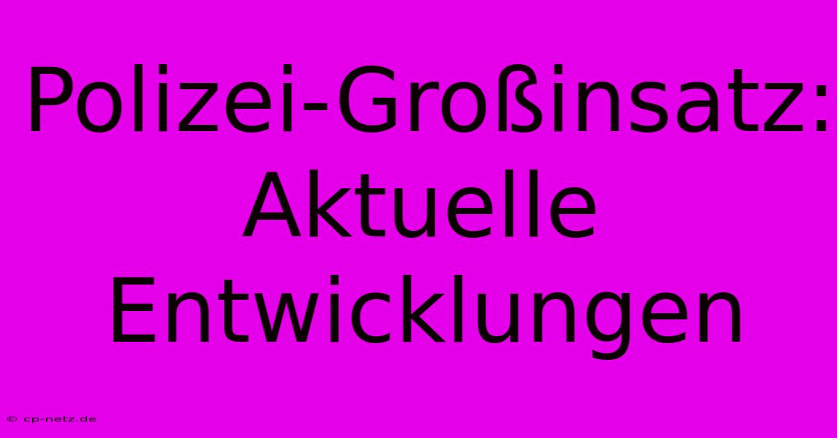 Polizei-Großinsatz: Aktuelle Entwicklungen