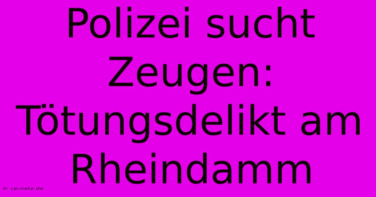 Polizei Sucht Zeugen: Tötungsdelikt Am Rheindamm